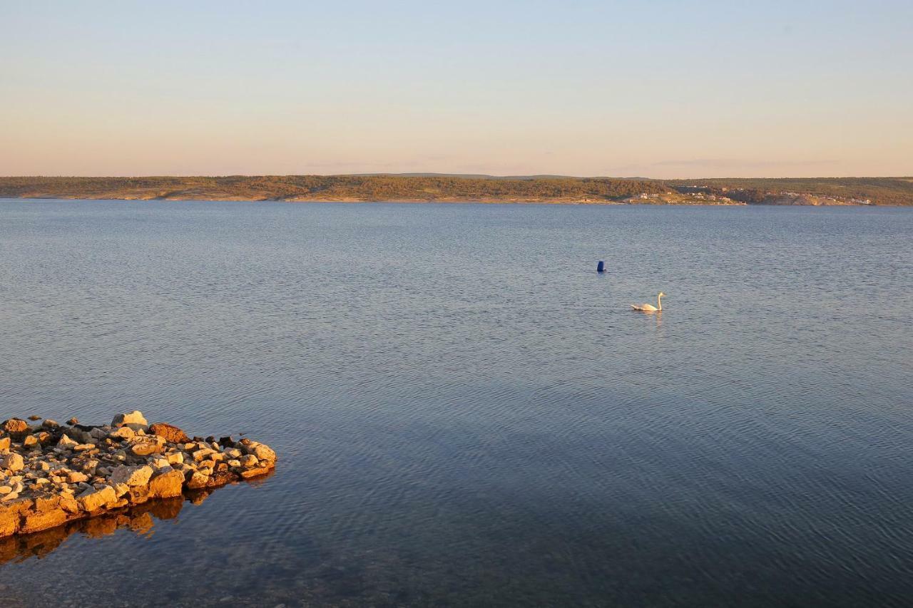 Apartman Baredine Maslenica Esterno foto